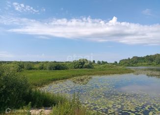 Продается участок, 20 сот., Карабихское сельское поселение