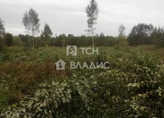 Земельный участок на продажу, 240 сот., деревня Кокаево