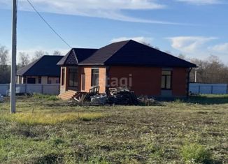 Продаю дом, 100 м2, село Дмитриевка, Новая улица, 19