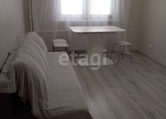 Сдача в аренду 1-комнатной квартиры, 40 м2, Челябинск, улица Университетская Набережная, 109