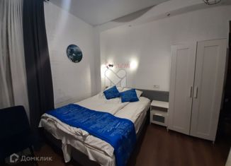 Сдается в аренду квартира студия, 25 м2, Санкт-Петербург, проспект Обуховской Обороны, 123, муниципальный округ Невская Застава