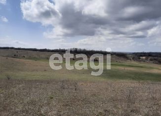 Продам участок, 243.29 сот., Чистенское сельское поселение