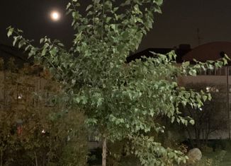 Продажа земельного участка, 10.22 сот., Верхняя Пышма, улица Менделеева