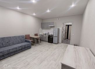 Сдаю в аренду квартиру студию, 28 м2, Новосибирск, Часовая улица, 37/1, Советский район