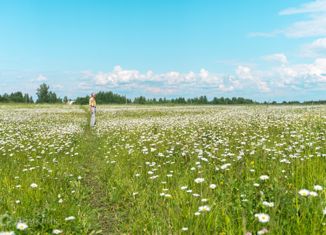 Дом на продажу, 58 м2, деревня Визябож, Берёзовая улица