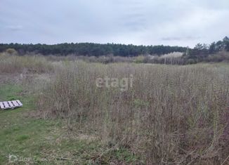 Участок на продажу, 8 сот., село Денисовка, Центральный переулок, 9