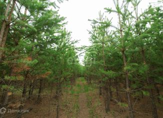 Продам участок, 4.5 сот., посёлок Рассоха, Финиковая улица