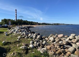 Продажа земельного участка, 6 сот., деревня Лепсари, 41К-202