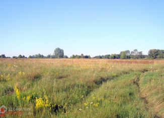 Продажа земельного участка, 210 сот., поселок Борки