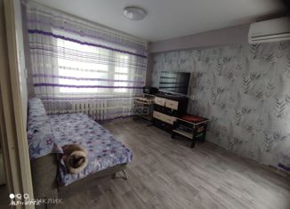 1-комнатная квартира на продажу, 31.7 м2, Ижевск, улица Дзержинского, 32, жилой район Буммаш