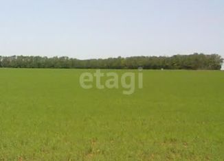 Продаю земельный участок, 221.68 сот., Большесальское сельское поселение