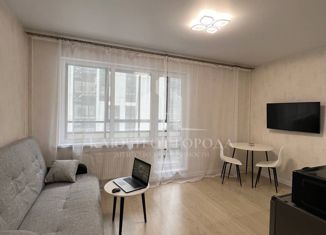 Продажа квартиры студии, 24.1 м2, Санкт-Петербург, Студенческая улица, 14к2, Студенческая улица