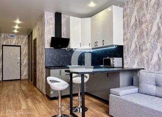 Продается квартира студия, 24 м2, Краснодар, Круговая улица, 4Вк5, ЖК Цветы