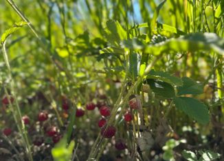 Продажа земельного участка, 10 сот., село Рождествено, улица Калинина