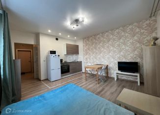 Продам квартиру студию, 28 м2, Новосибирск, улица Фрунзе, 49/2, метро Маршала Покрышкина