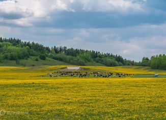 Продажа земельного участка, 400.4 сот., Дружининское городское поселение