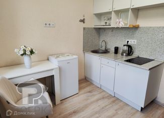 Продается квартира студия, 18 м2, Москва, Покровская улица, 17к5, метро Некрасовка