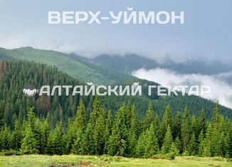 Продажа участка, 100 сот., село Тихонькая, Центральная улица, 3