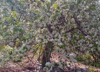 Дом на продажу, 10 м2, Южноуральск, Боровая улица