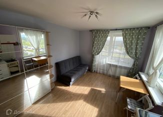 Продажа квартиры студии, 23.5 м2, Кудрово, Европейский проспект, 3, ЖК Вена