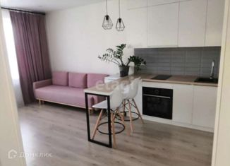 Сдаю в аренду квартиру студию, 27.5 м2, Новосибирск, улица Плахотного, 53/1, улица Плахотного