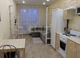 Сдам квартиру студию, 24.7 м2, село Каменка, микрорайон Олимпийской славы, 2