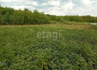 Земельный участок на продажу, 10 сот., село Майма, Катунская улица, 16В