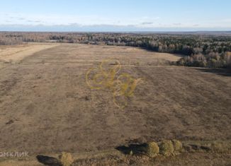 Земельный участок на продажу, 21500 сот., деревня Бирево