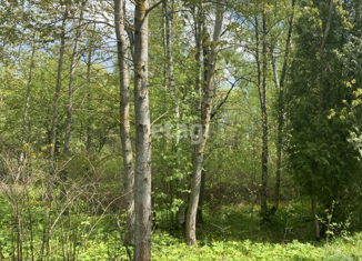 Продается земельный участок, 20 сот., Апрелевка