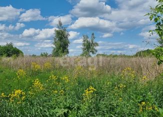 Продажа земельного участка, 100 сот., Новомосковск, Городская площадь