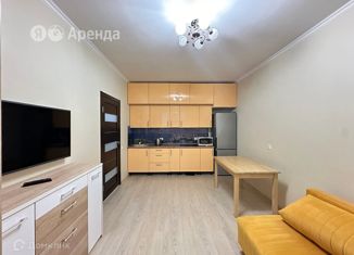 Сдается в аренду 2-комнатная квартира, 35 м2, Москва, улица Академика Скрябина, 6, метро Выхино