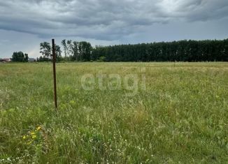 Продаю земельный участок, 11 сот., село Усть-Заостровка