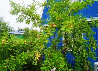 Продажа дома, 40 м2, посёлок городского типа Васильево, Школьная улица