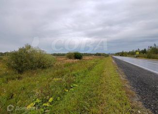 Продается участок, 20 сот., деревня Коняшина