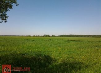 Продается земельный участок, 170 сот., деревня Старая, Колтушское шоссе