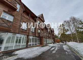 Продается 5-ком. квартира, 317.4 м2, село Сосновка, Целинная улица, 49