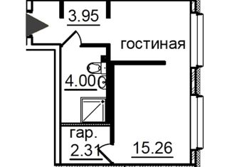 Продаю квартиру студию, 25.75 м2, Санкт-Петербург, Витебский проспект, 99к1, метро Купчино