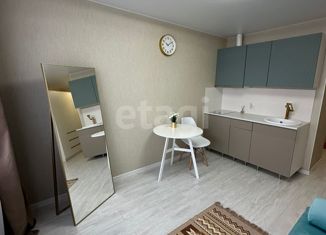 Квартира на продажу студия, 17.2 м2, Пермь, Чебоксарская улица, 3, Кировский район