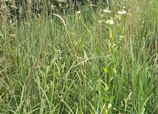 Продажа земельного участка, 10.5 сот., садоводческое некоммерческое товарищество Опушка, садоводческое некоммерческое товарищество Опушка, 131