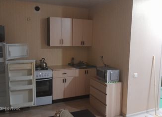 Сдача в аренду однокомнатной квартиры, 32 м2, поселок городского типа Стройкерамика, улица Петра Монастырского, 4