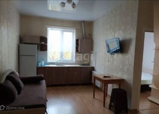 Сдам в аренду однокомнатную квартиру, 40 м2, село Чистенькое, Абрикосовая улица, 15