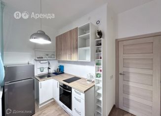 Квартира в аренду студия, 25 м2, Санкт-Петербург, Плесецкая улица, 16, Приморский район