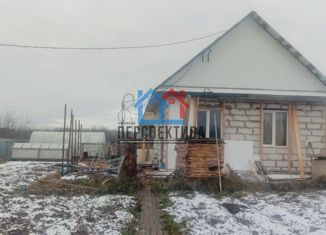 Продаю дом, 48.8 м2, село Малая Зоркальцева, Зелёная улица, 13
