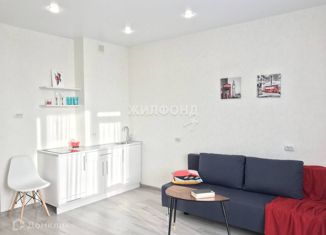 Продам квартиру студию, 25.6 м2, Новосибирск, Рябиновая улица, 14/1, Рябиновая улица