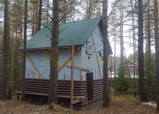 Дом на продажу, 51 м2, Дегтярск, Виноградная улица