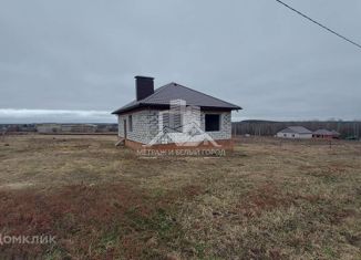 Продам дом, 120 м2, село Дмитриевка, Молодёжная улица, 13