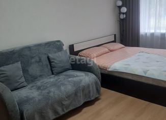 Продается 1-ком. квартира, 30.2 м2, Южноуральск, улица Советской Армии, 16А