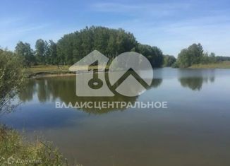 Продам участок, 1000 сот., село Сидоровка