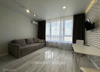 Продается квартира студия, 31.7 м2, село Орёл-Изумруд, улица Гастелло, 40А