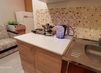 Продаю квартиру студию, 15.8 м2, Екатеринбург, Рощинская улица, 21к2, ЖК Тихий Берег-3